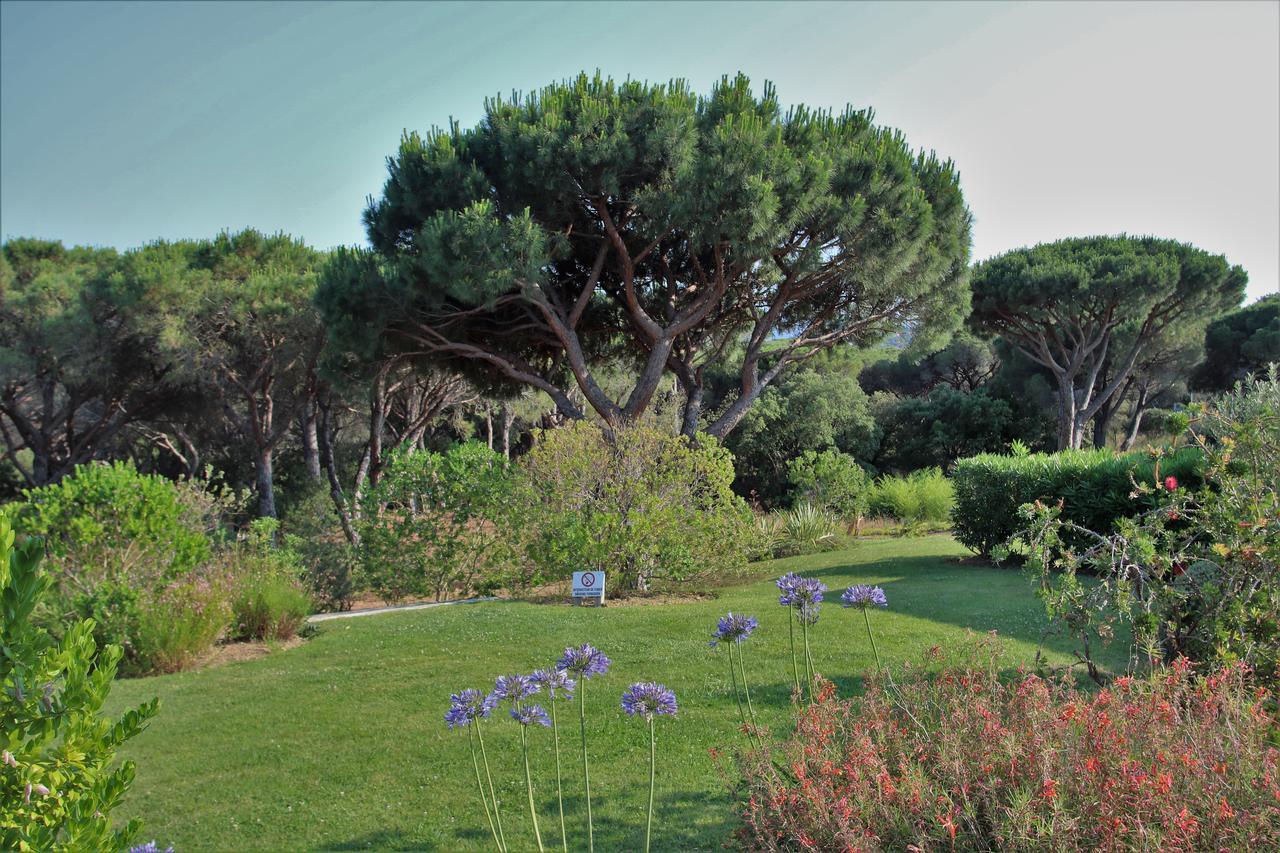 Appartement Les Pins Bleus A8 แซ็งต์-แมกซีม ภายนอก รูปภาพ