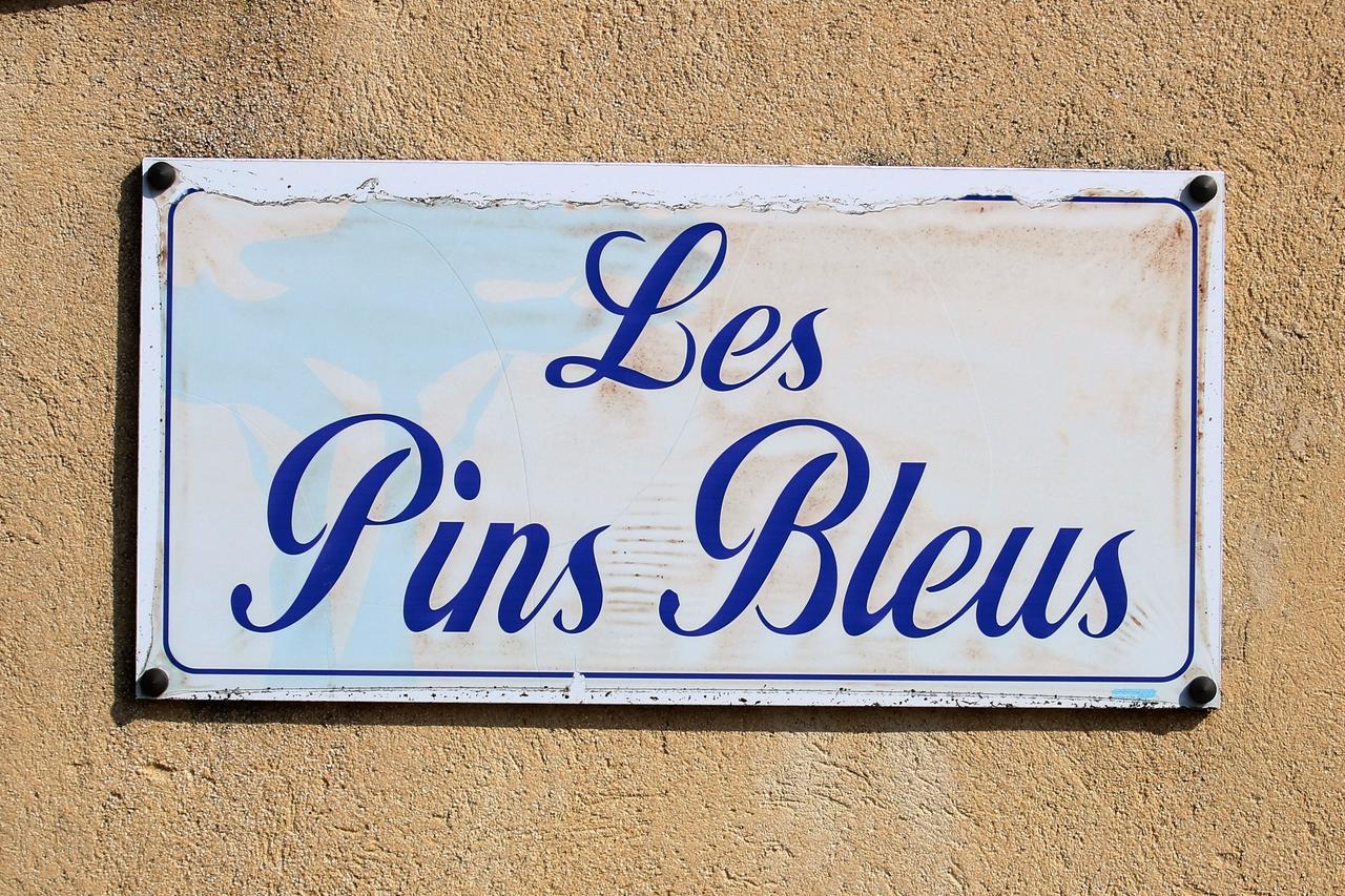 Appartement Les Pins Bleus A8 แซ็งต์-แมกซีม ภายนอก รูปภาพ